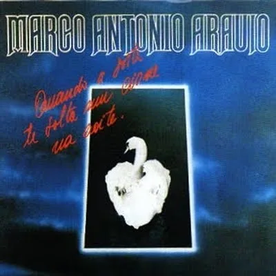 Capa de Quando a Sorte te Solta um Cisne na Noite