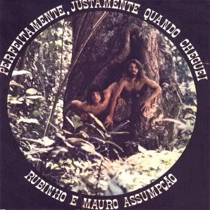 Capa de Perfeitamente, Justamente Quando Cheguei